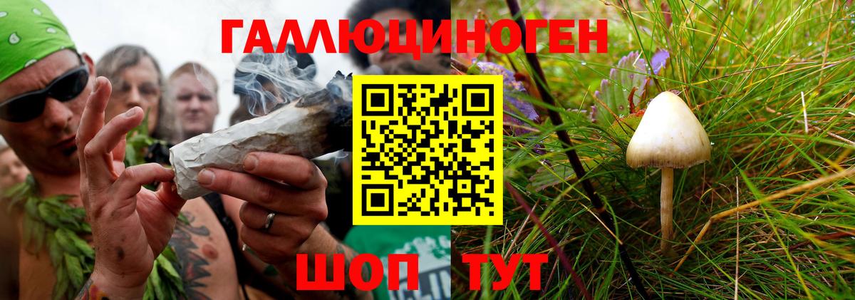 Галлюциногенные грибы Cubensis Заводоуковск