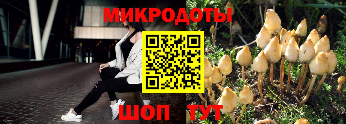 Галлюциногенные грибы Cubensis  Вход с VPN  Заводоуковск 